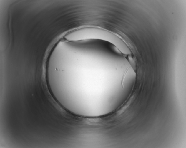 X0000088041196200706081603