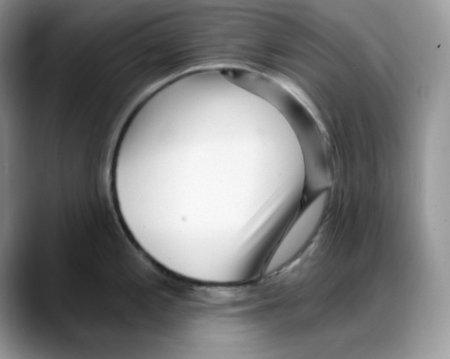 X0000088041197200706081603