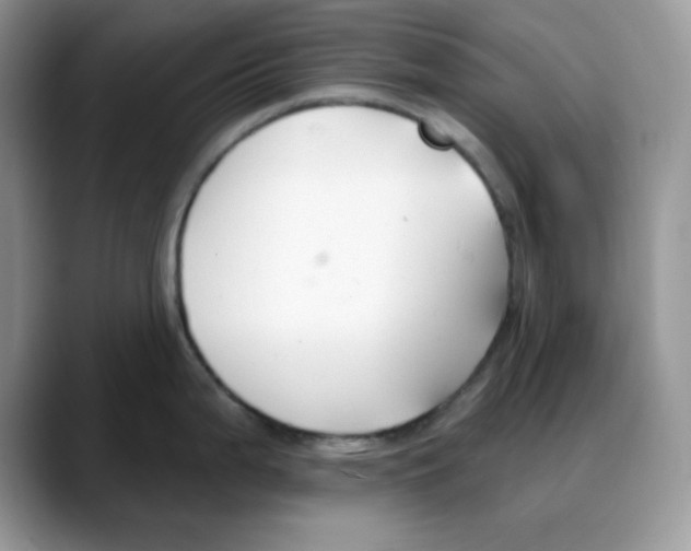 X0000088041199200706081603