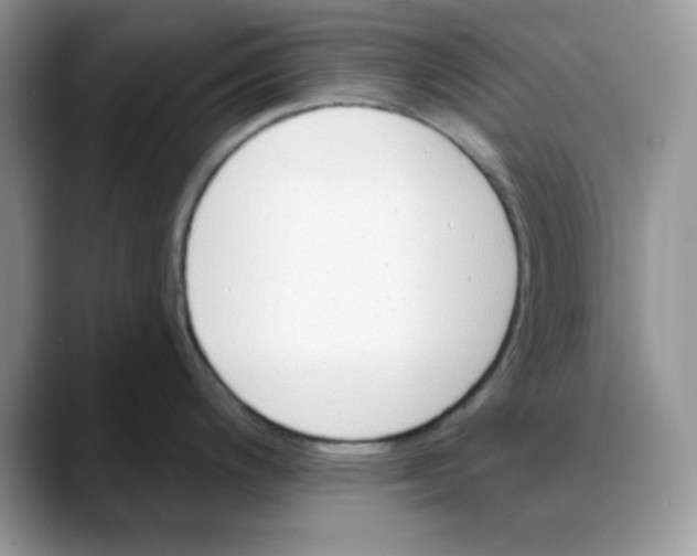 X0000088041200200706081603