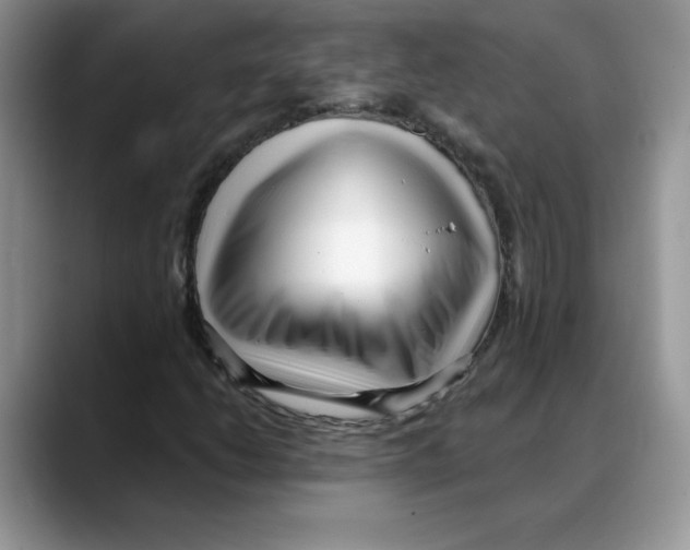 X0000088041206200706081602