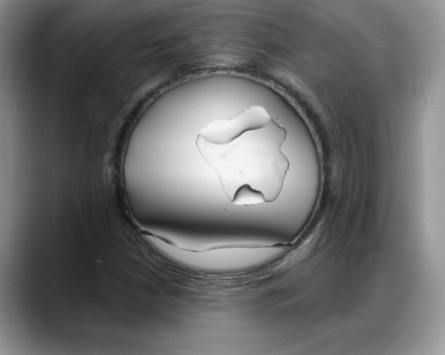 X0000088041210200706081602