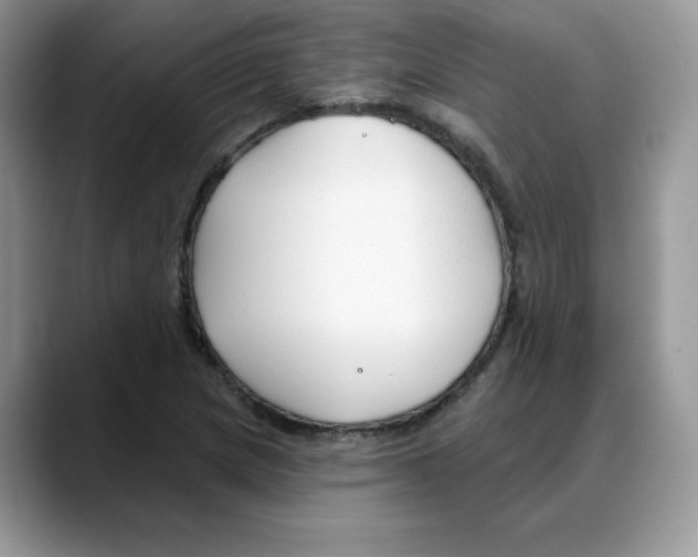 X0000088041217200706081602