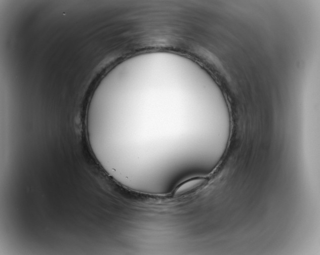 X0000088041218200706081602