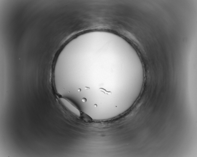 X0000088041220200706081602