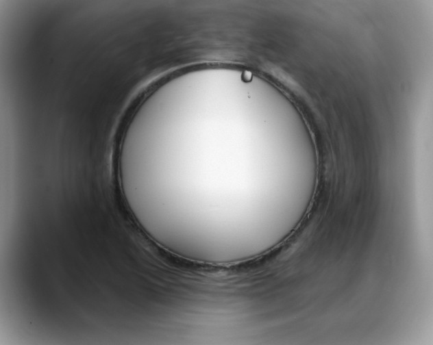 X0000088041222200706081602