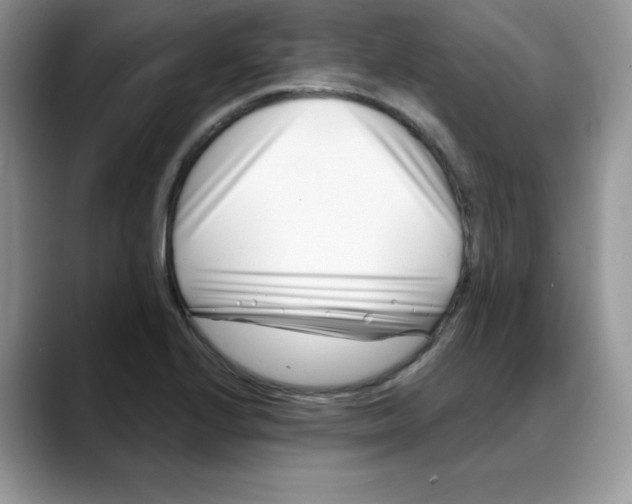 X0000088041224200706081603