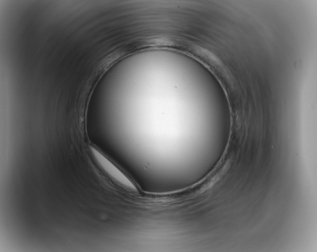 X0000088041225200706081603