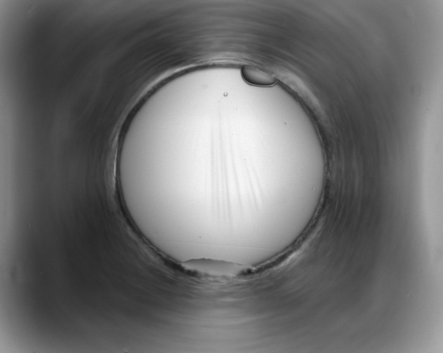 X0000088041228200706081603