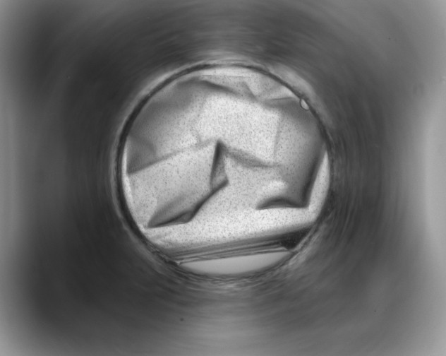 X0000088041231200706081603