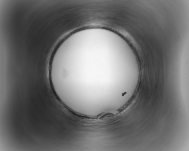 X0000088041232200706081603