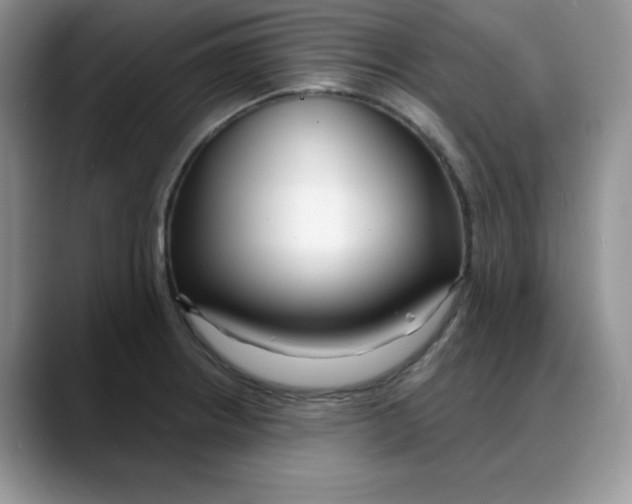 X0000088041234200706081603