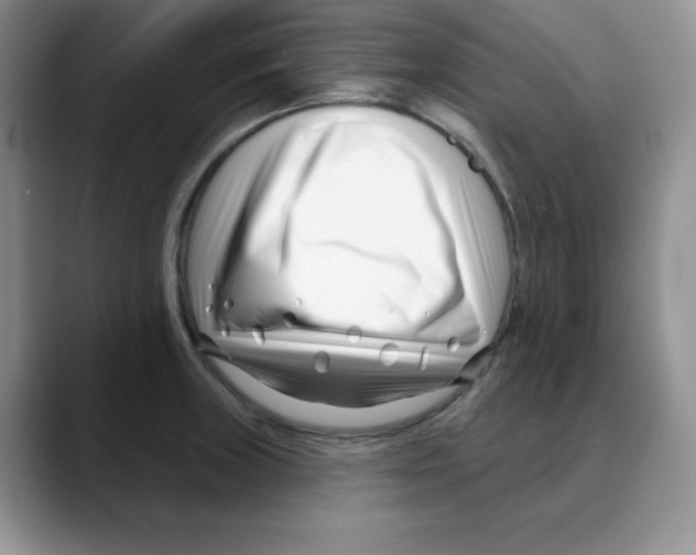 X0000088041235200706081603