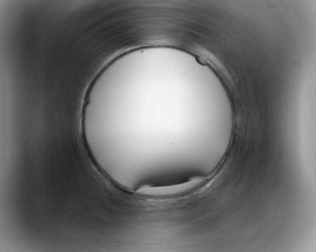 X0000088041236200706081603