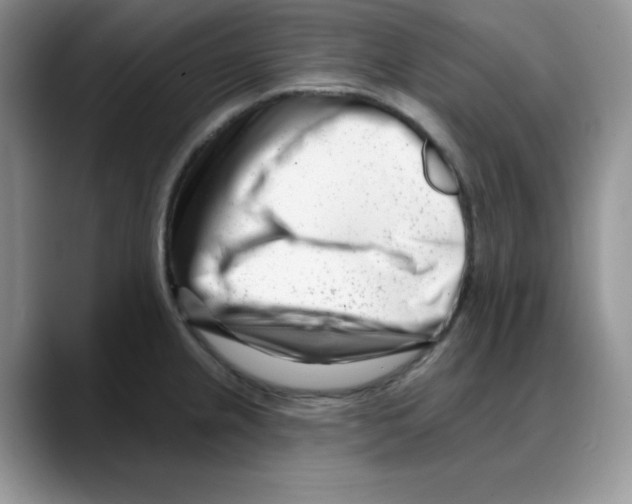 X0000088041237200706081603