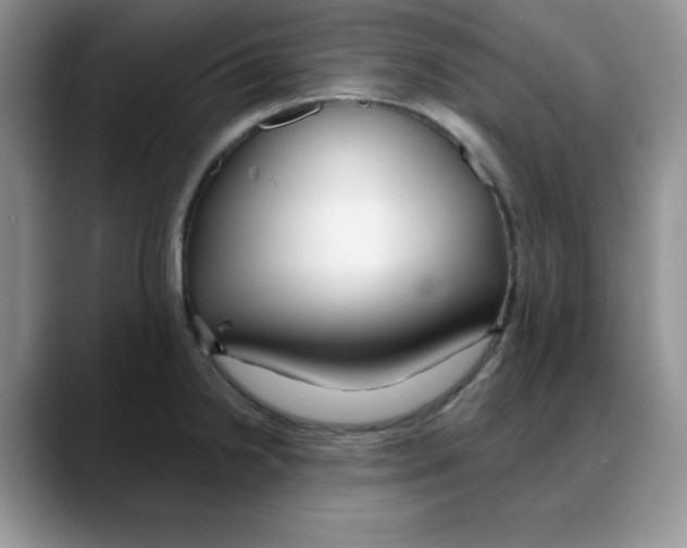 X0000088041238200706081603