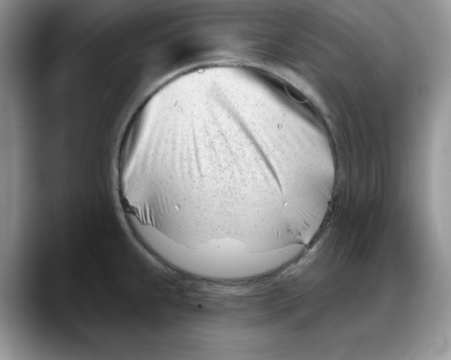 X0000088041239200706081603