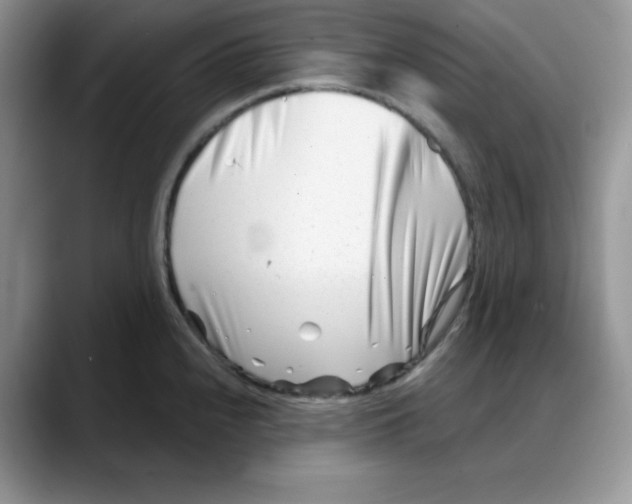 X0000088041240200706081603