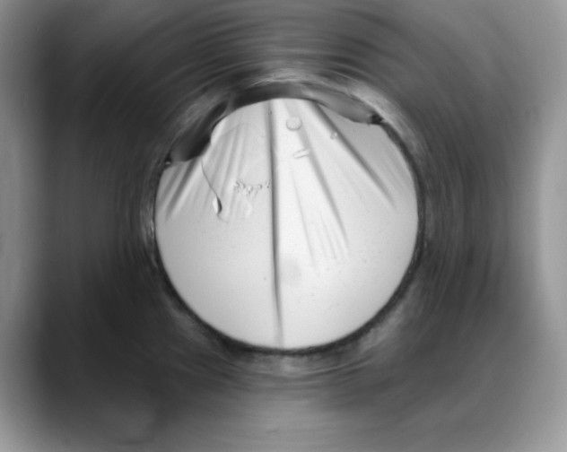 X0000088041241200706081603