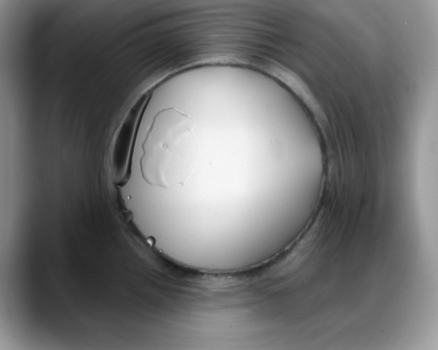 X0000088041242200706081603