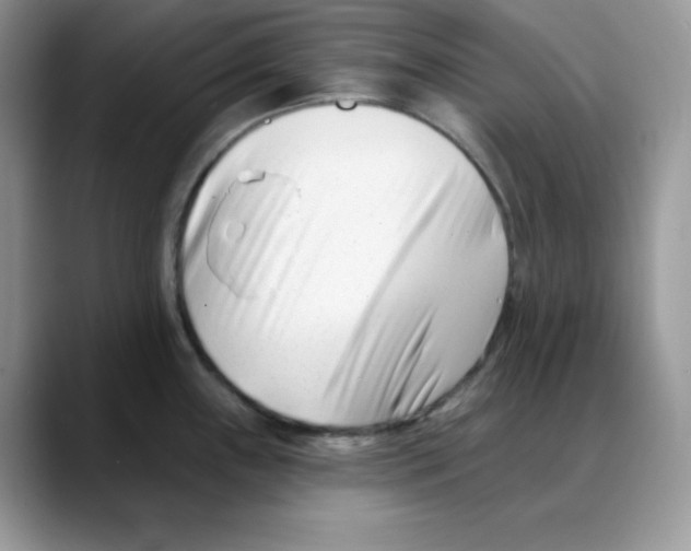 X0000088041243200706081603