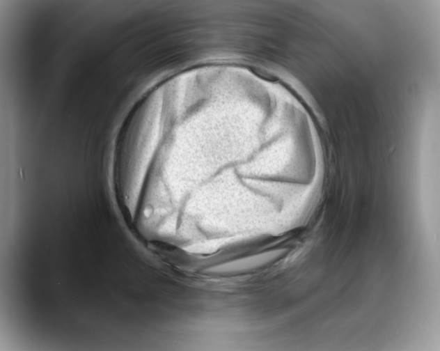 X0000088041245200706081603