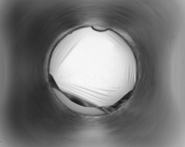 X0000088041248200706081603