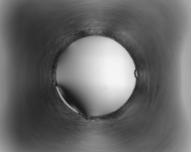 X0000088041250200706081602