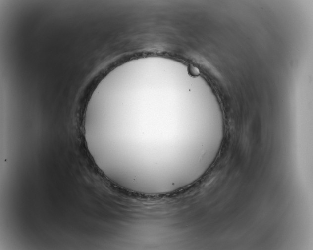 X0000088041256200706081602