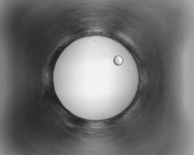 X0000088041258200706081602