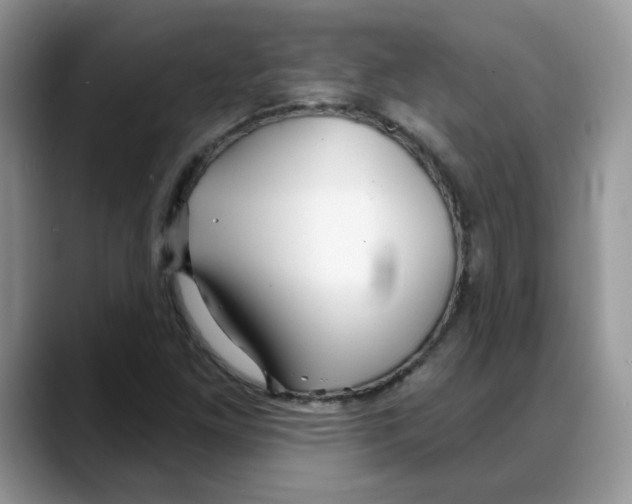 X0000088041261200706081602