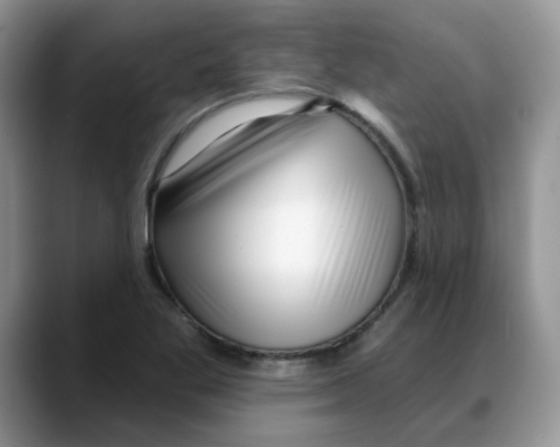 X0000088041269200706081602