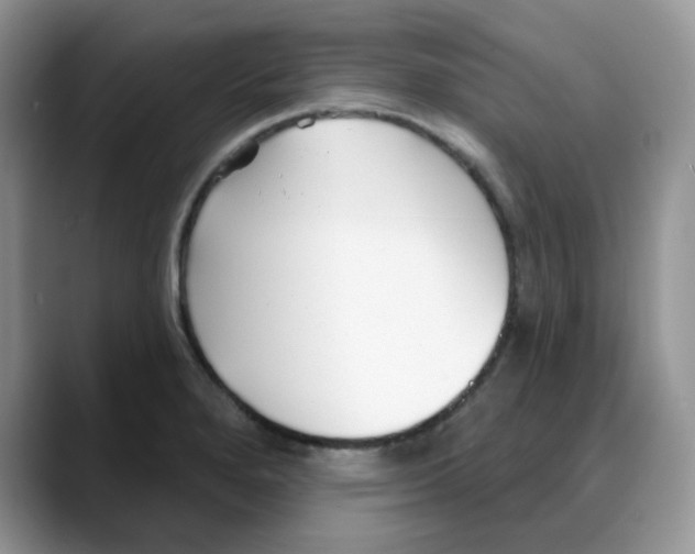 X0000088041280200706081602