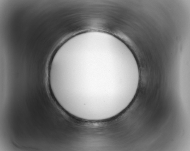 X0000088041286200706081602