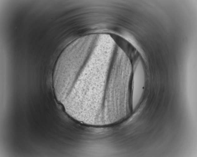 X0000088041289200706081602