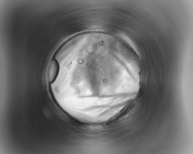 X0000088041291200706081602