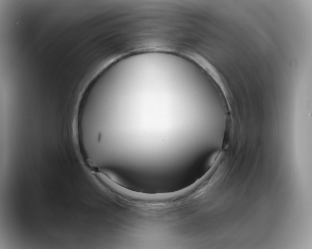 X0000088041293200706081602