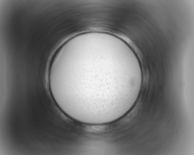 X0000088041294200706081602