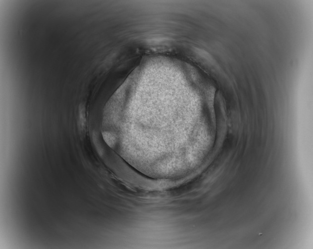 X0000088041298200706081601