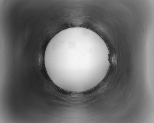 X0000088041299200706081601