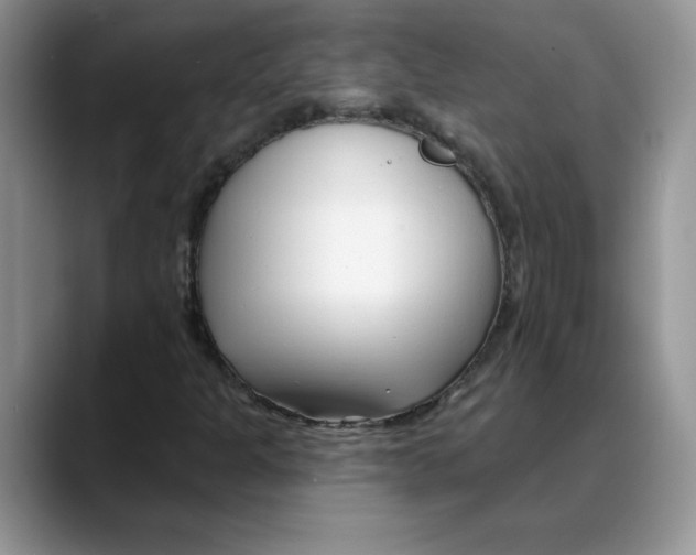 X0000088041301200706081601