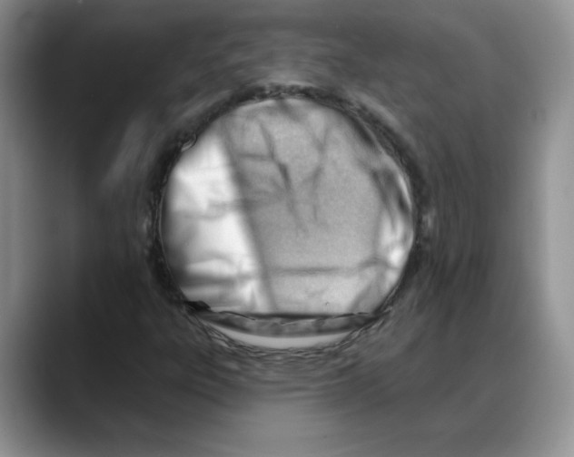 X0000088041303200706081601