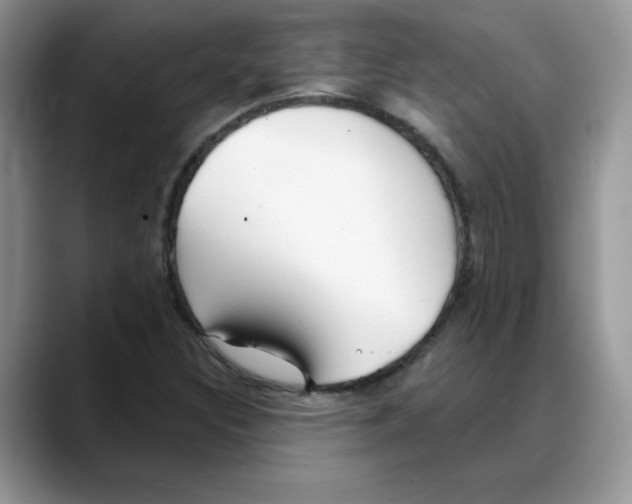 X0000088041308200706081601