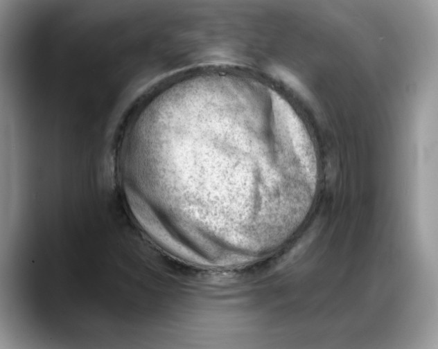 X0000088041310200706081601