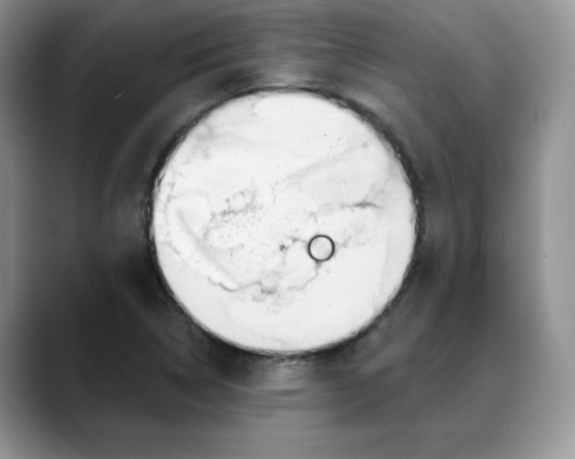 X0000088041314200706081601