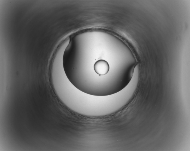 X0000088041316200706081601