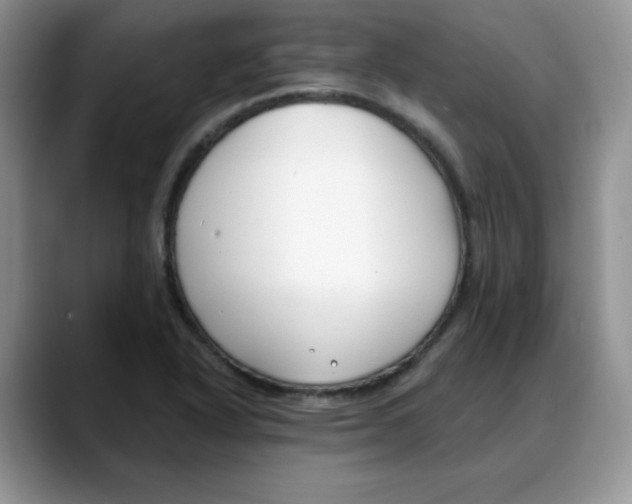 X0000088041318200706081601