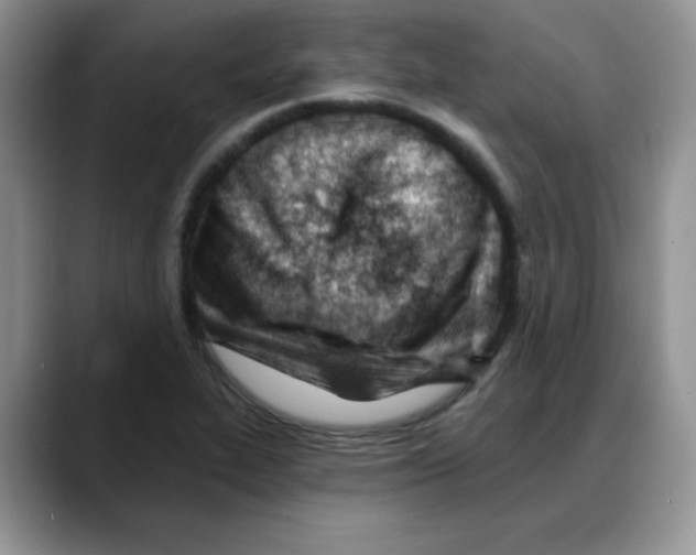 X0000088041319200706081601