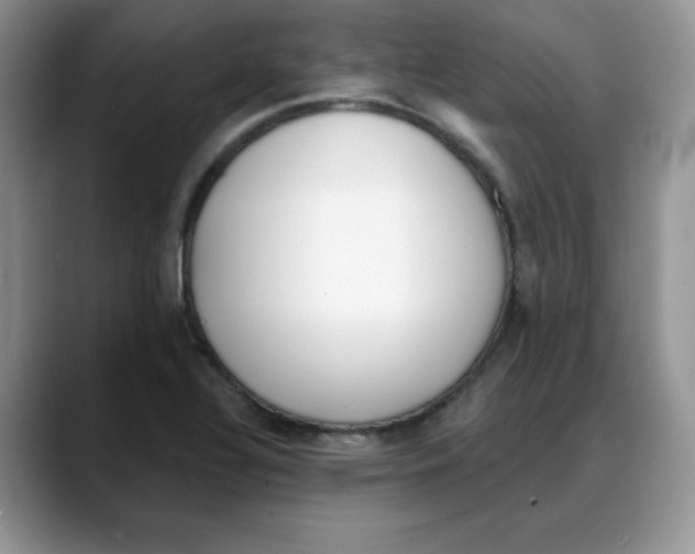 X0000088041320200706081601