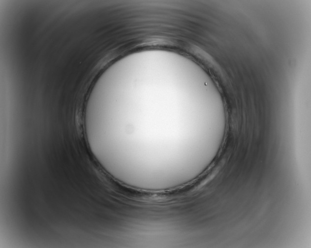 X0000088041321200706081601